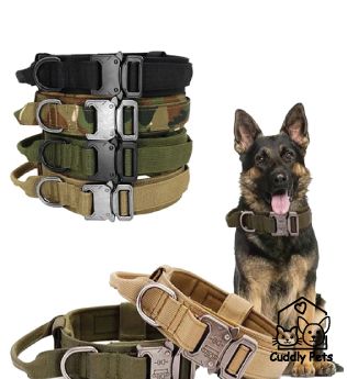 Heavy Duty Military tactical dog collars